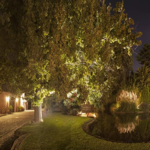 boutique_slide61-500x500