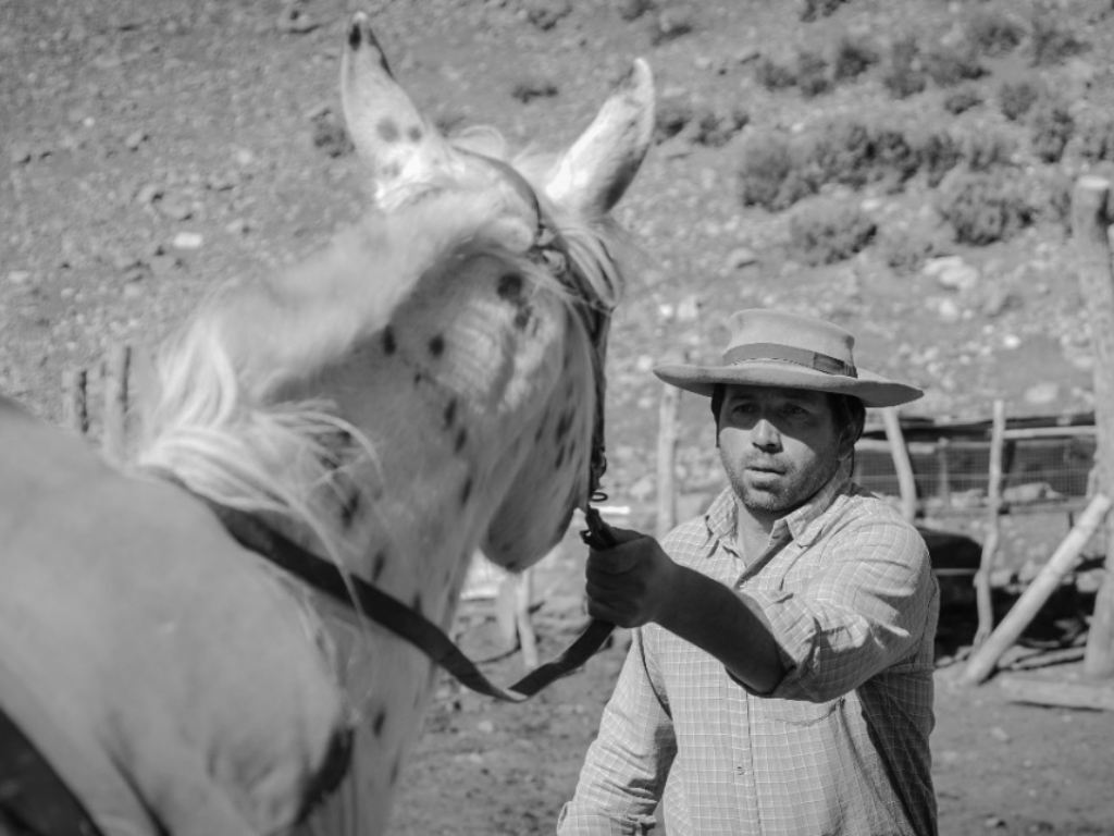 gaucho_003