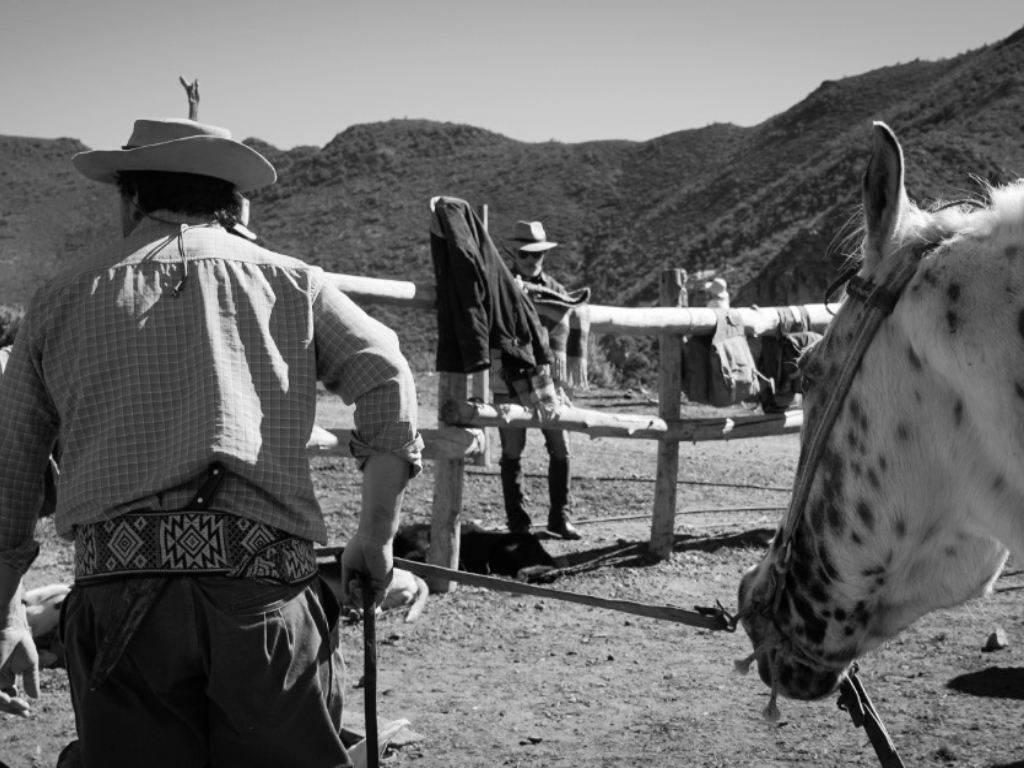 gaucho_014