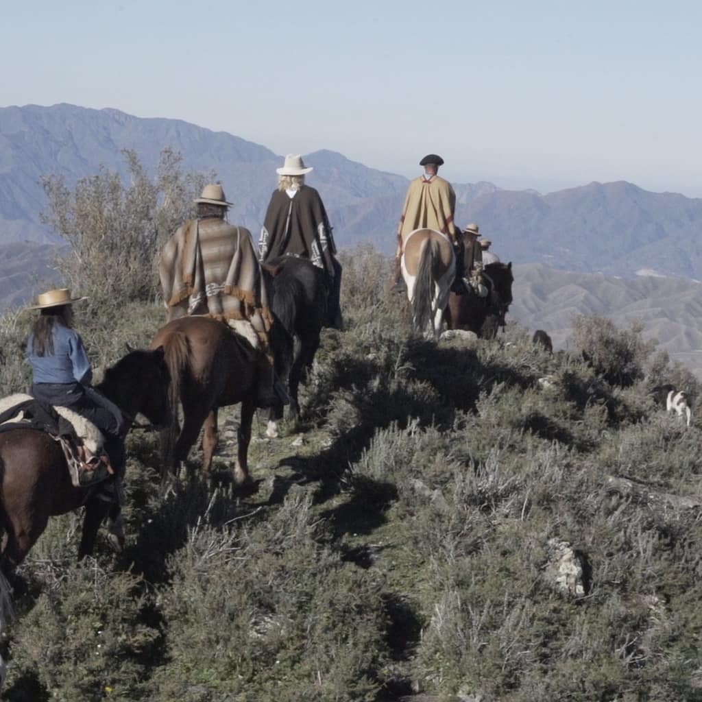 potrerillos_slide0019