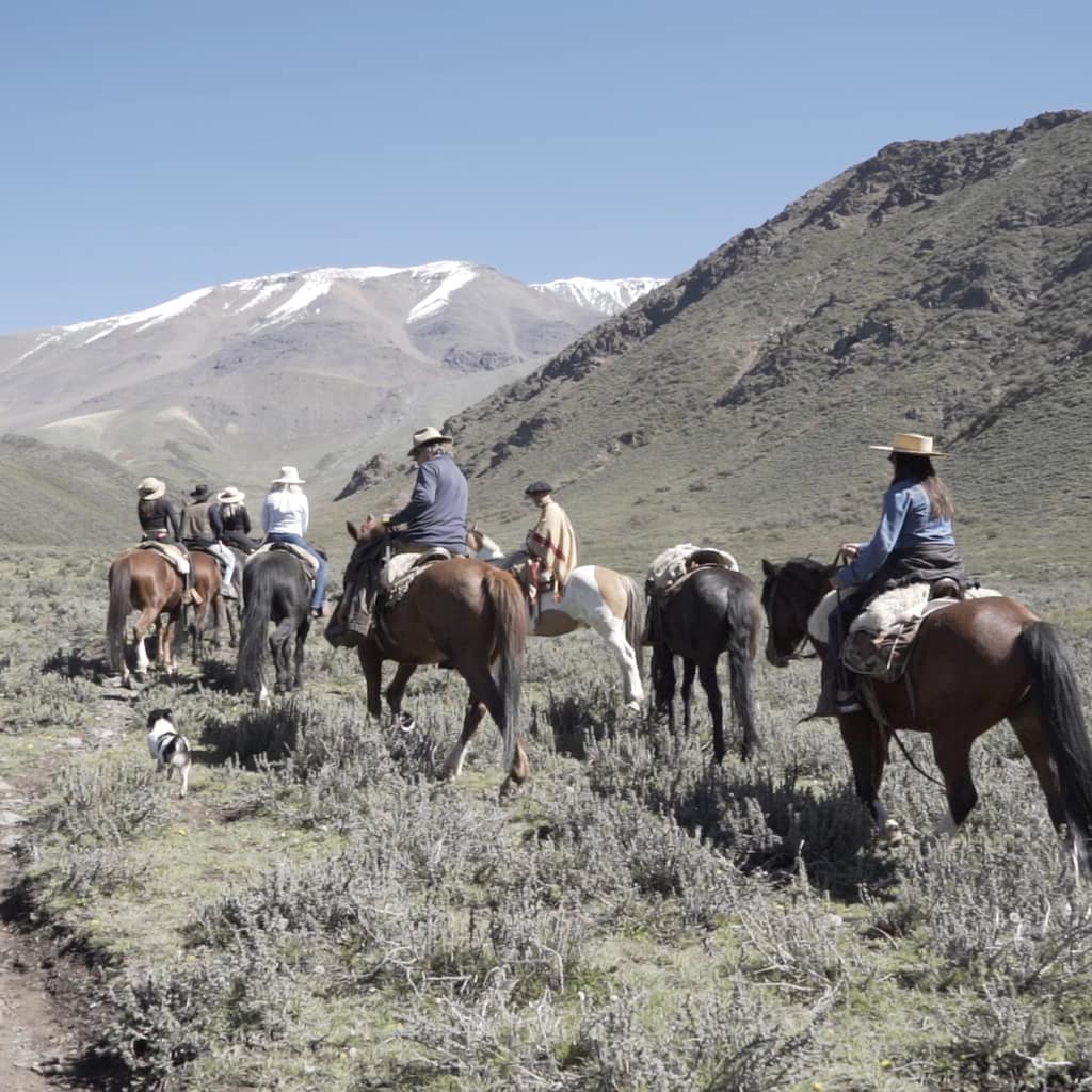potrerillos_slide0022