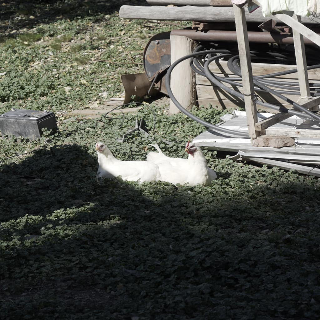 potrerillos_slide0023