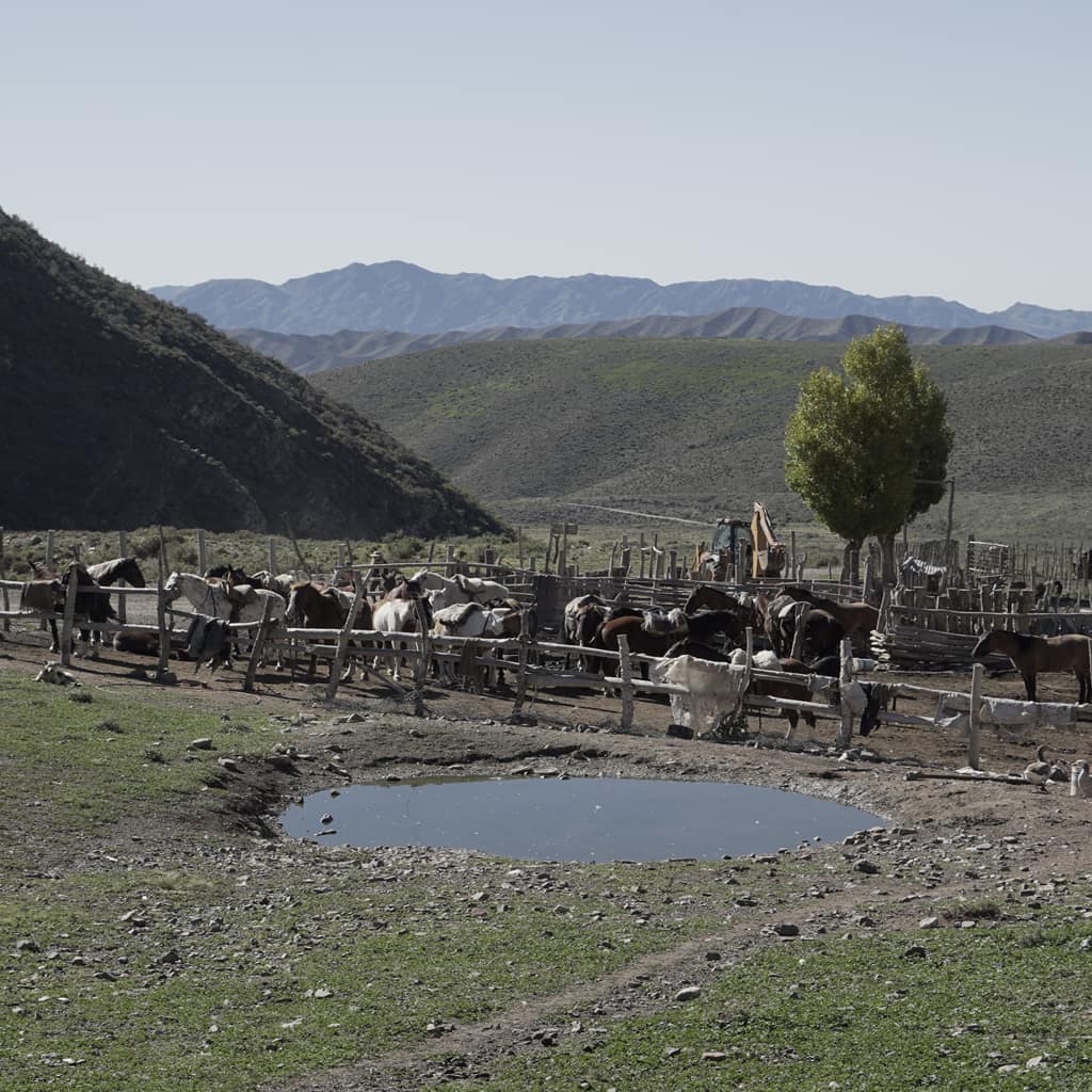 potrerillos_slide0025
