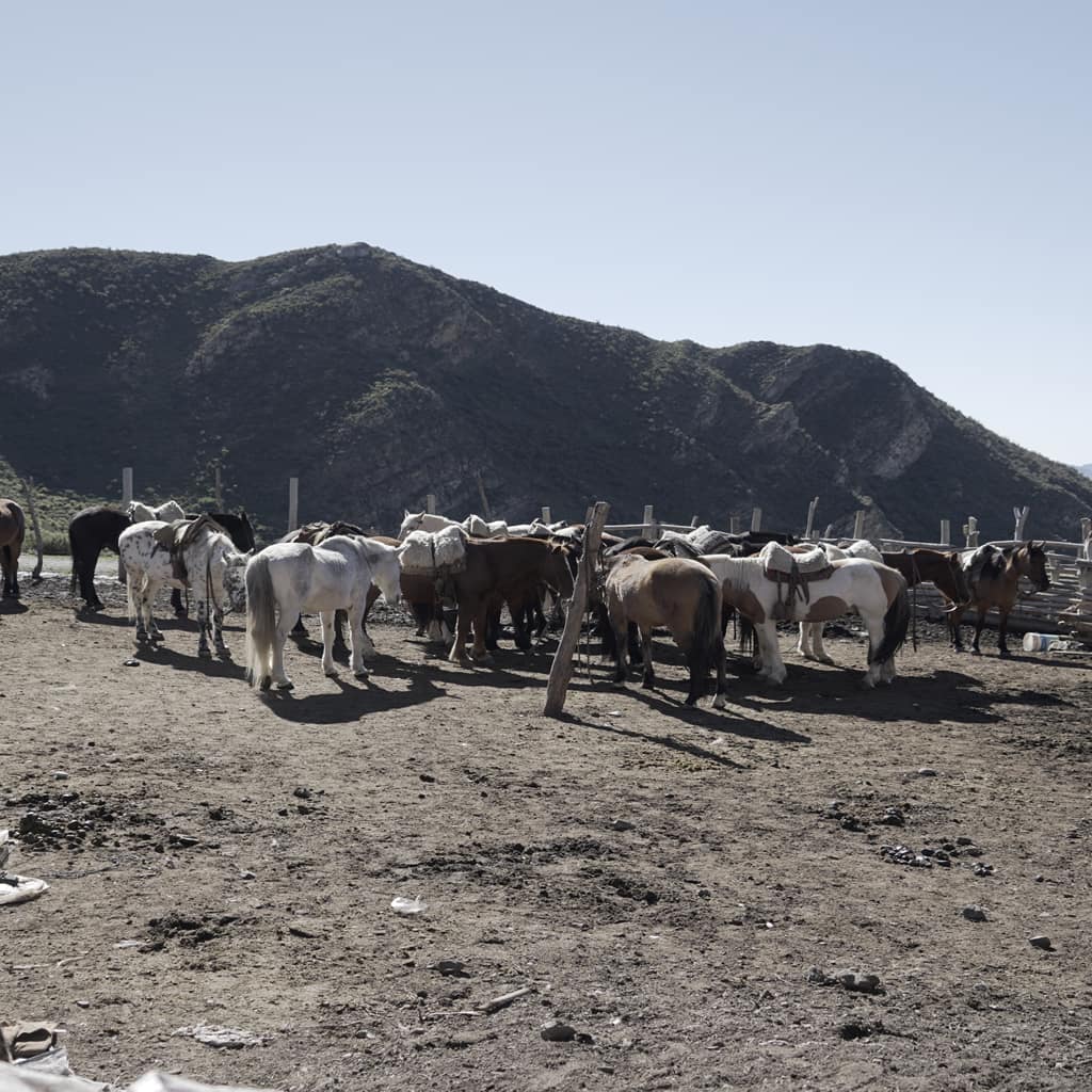 potrerillos_slide0028