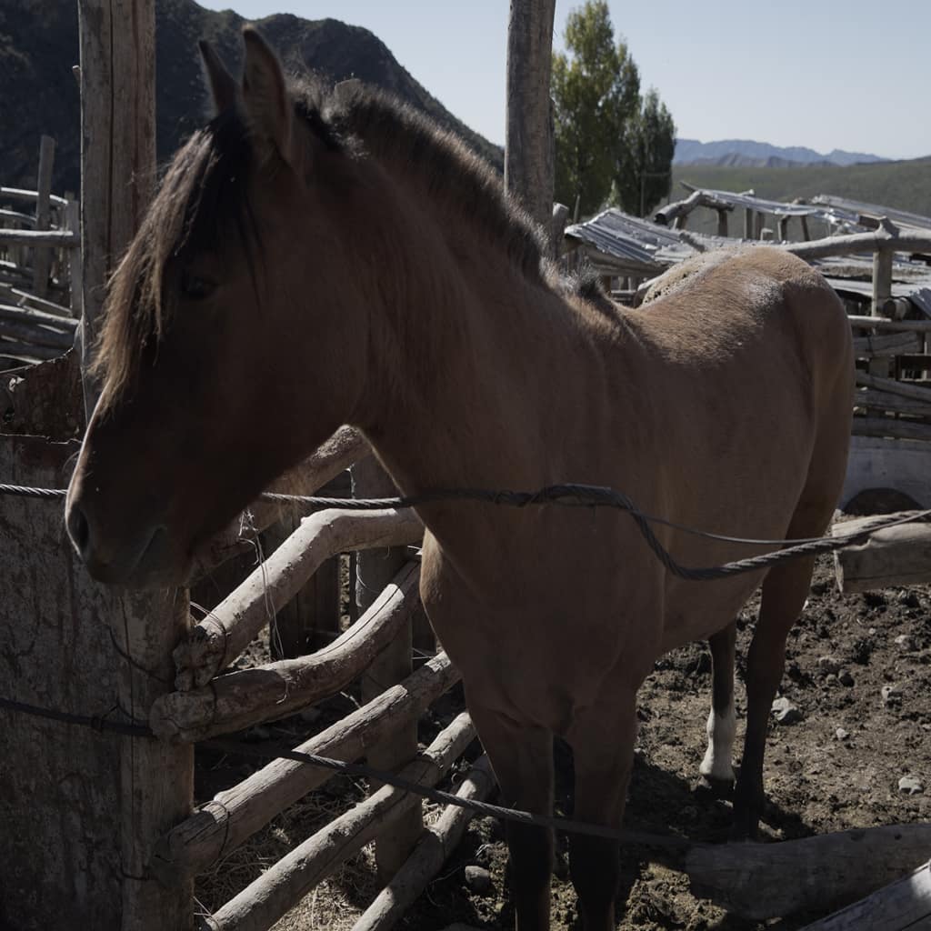 potrerillos_slide0029