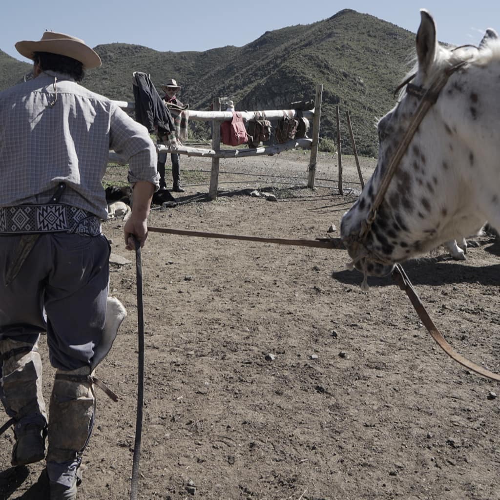 potrerillos_slide0042