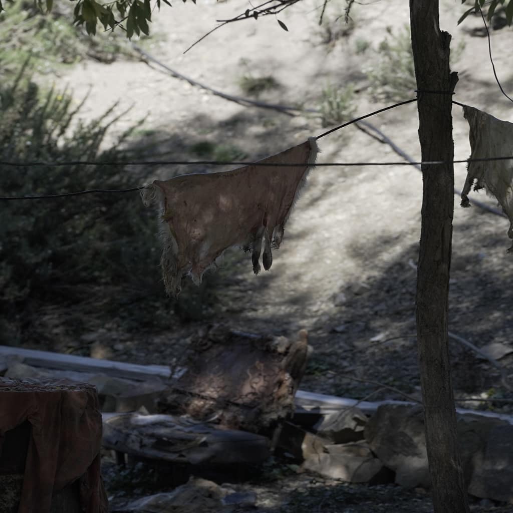 potrerillos_slide0045