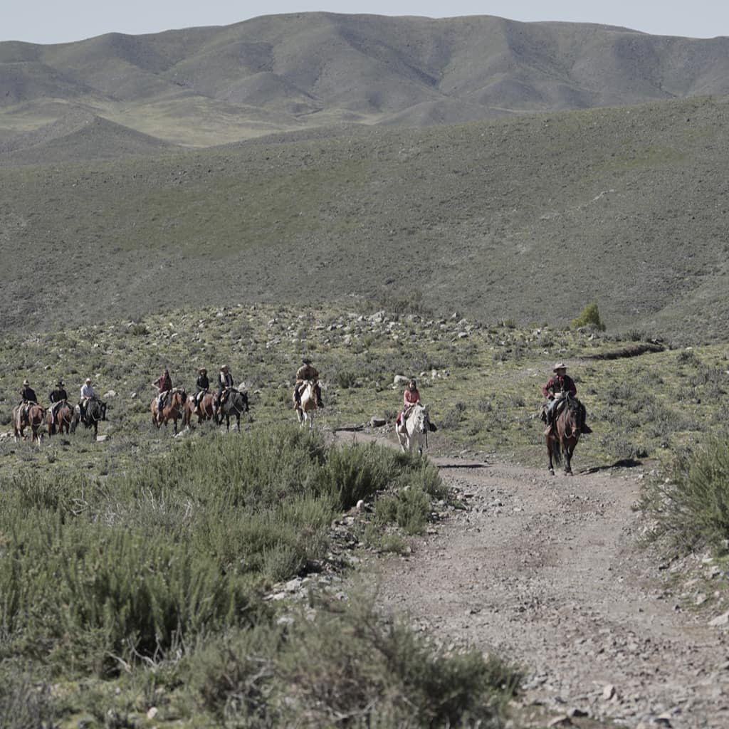 potrerillos_slide0052