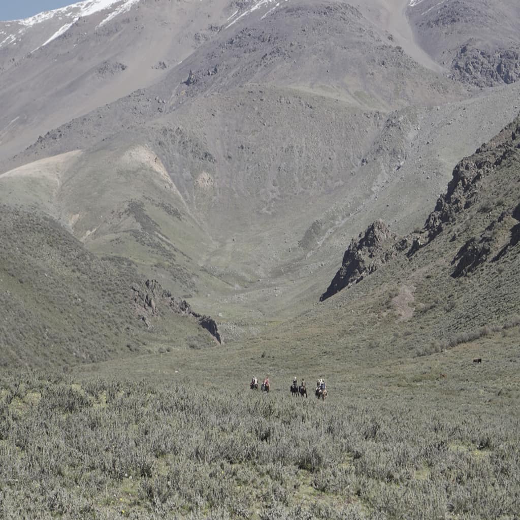 potrerillos_slide0059