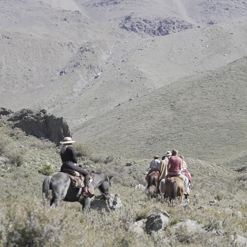 potrerillos_slide0063