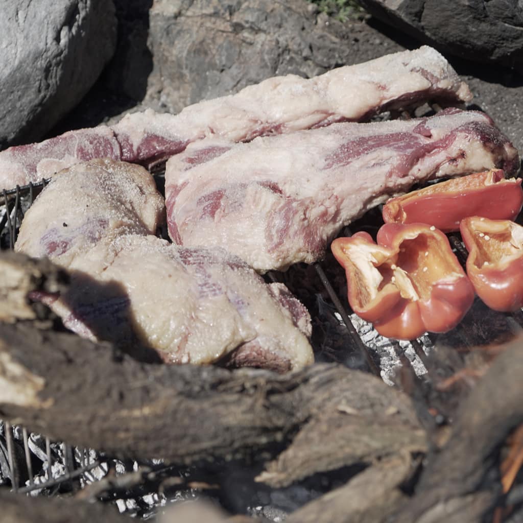 potrerillos_slide0075