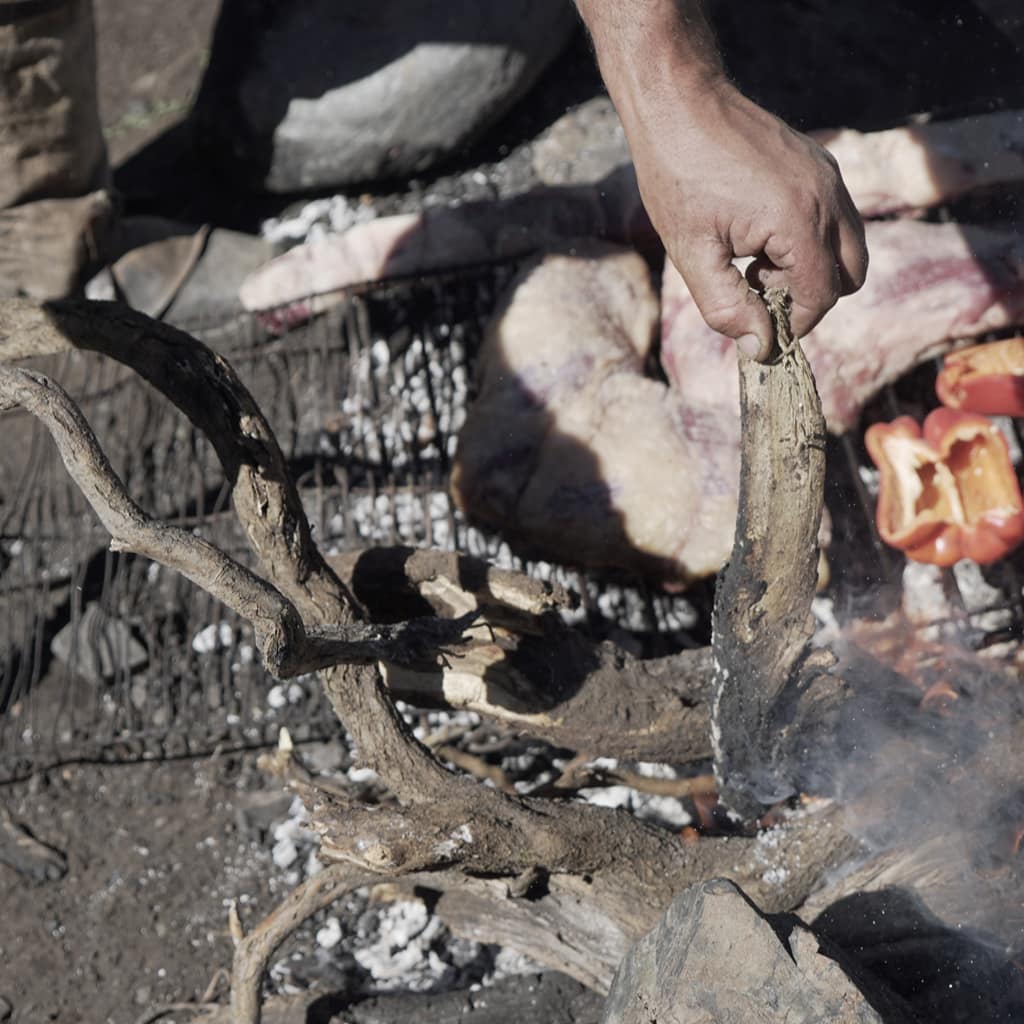 potrerillos_slide0077