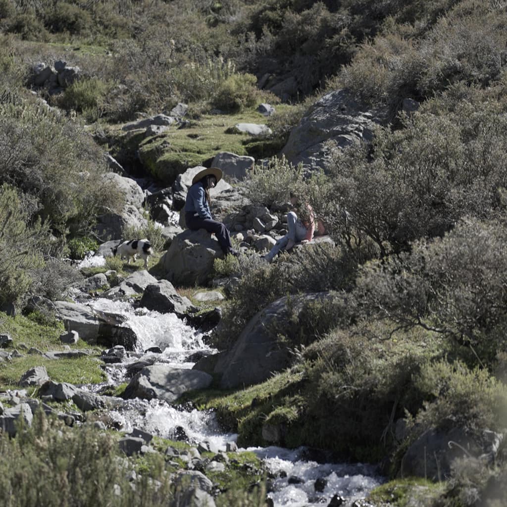 potrerillos_slide0081