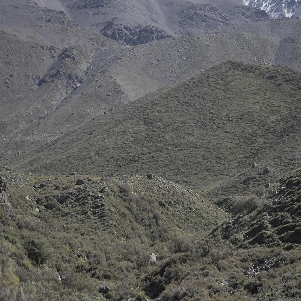 potrerillos_slide0082