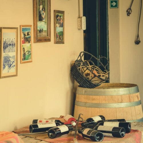 winetour_slide03-500x500