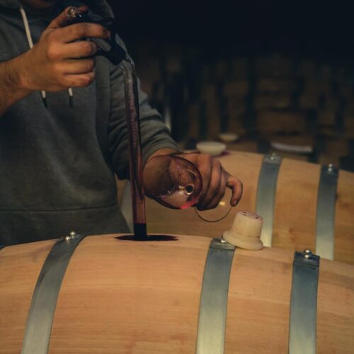 winetour_slide26-500x500