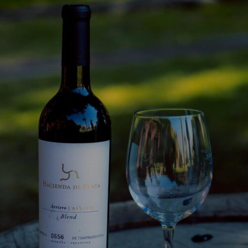 winetour_slide36-500x500