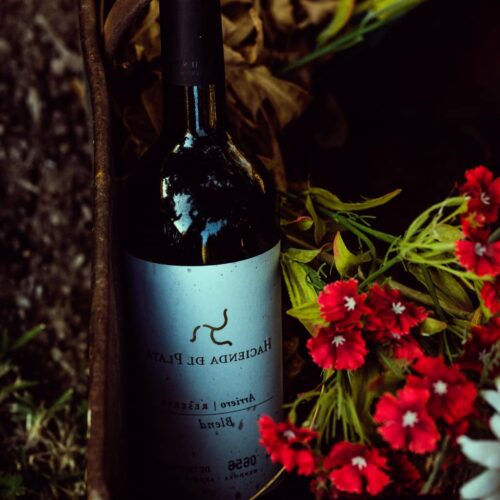 winetour_slide37-500x500