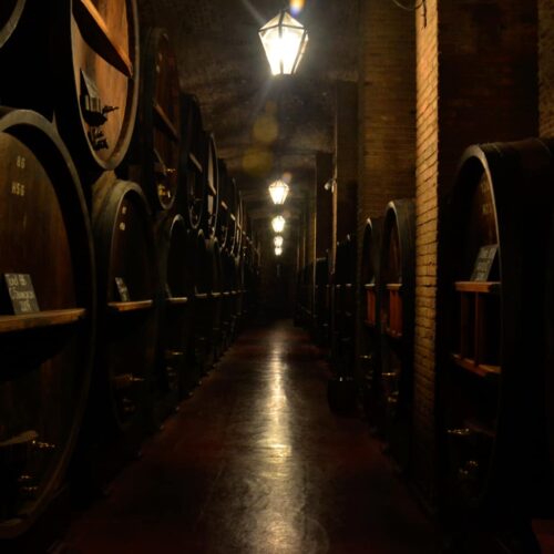 winetour_slide51-500x500