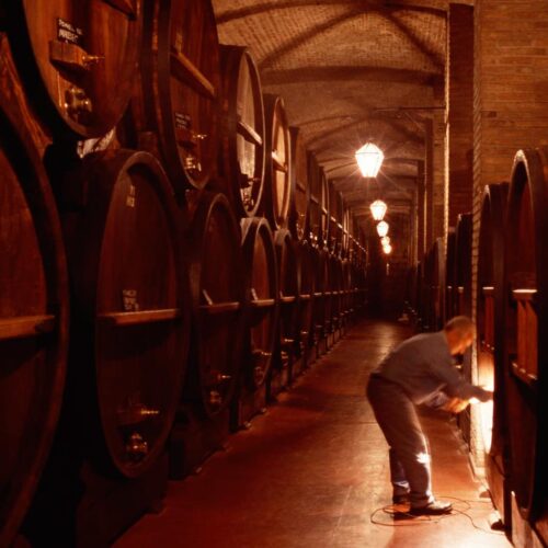 winetour_slide60-500x500