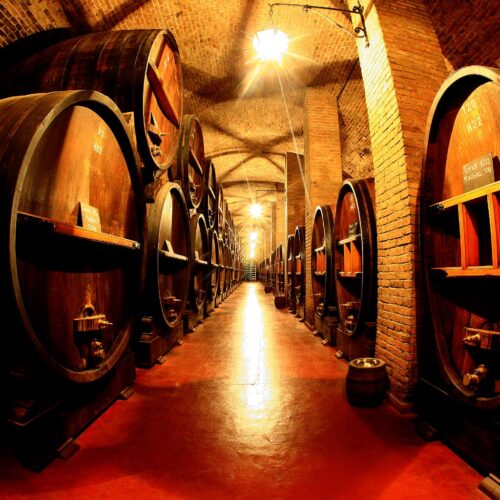 winetour_slide64-500x500