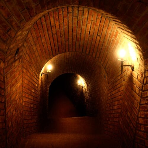 winetour_slide66-500x500