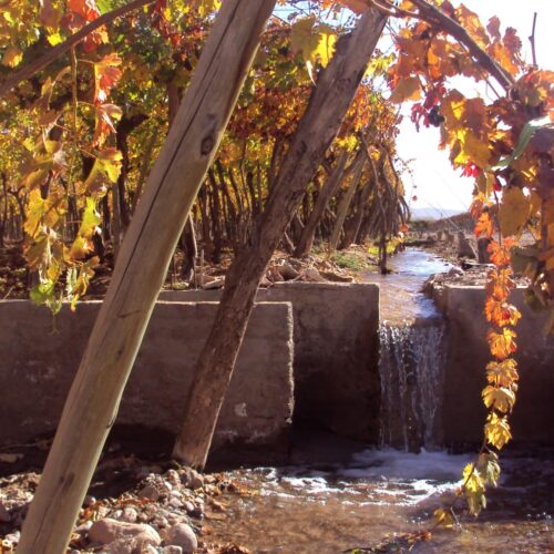 winetour_slide73-500x500