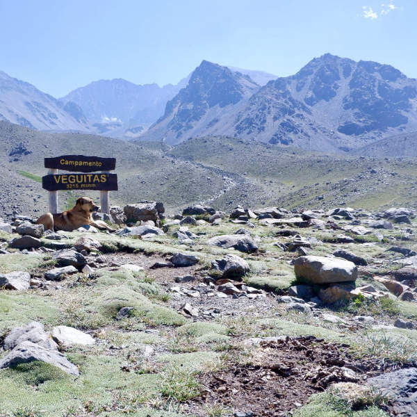 hikingtrekking_mendoza_12